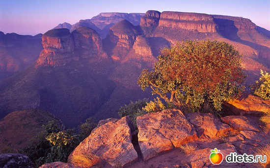 27 фото: Красивые обои