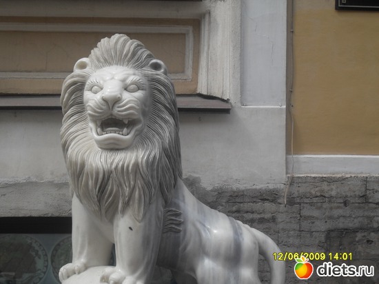 5 фото: Санкт-Петербург, как ты прекрасен !