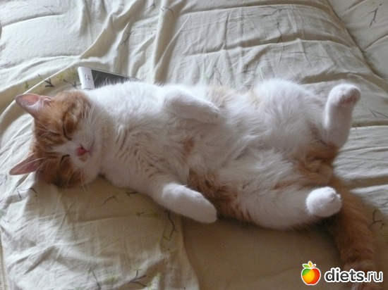 Спим, альбом: РЫЖИК! :-)