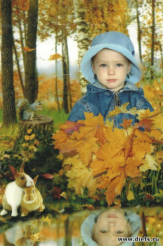 3 ����: ��