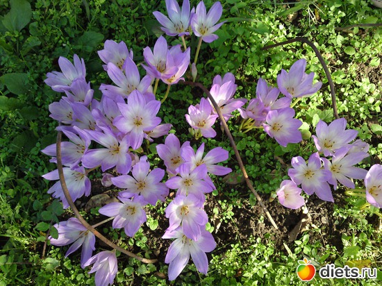 10 фото: лето