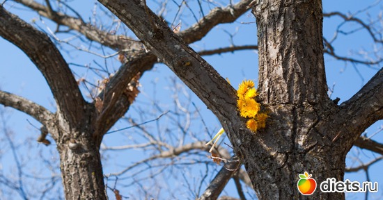 Кисловодск, Ставропольский край, альбом: Краснодарский край