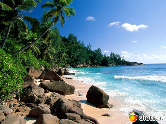 7 фото: Пляжный кайф