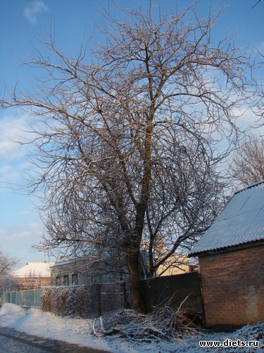 Зима в станице, альбом: Краснодарский край