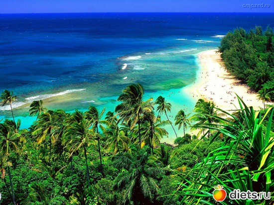 10 фото: Пляжный кайф