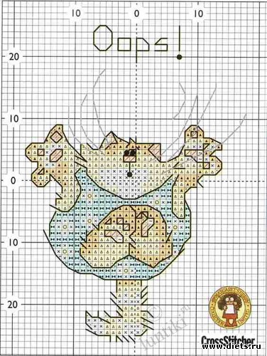 4 фото: год кота