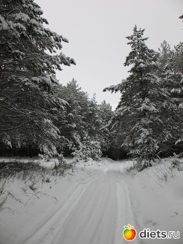 19 фото: Мир, каким я его вижу