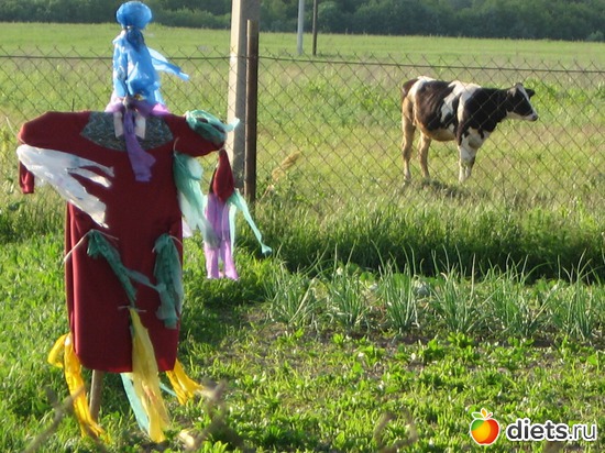 20 фото: Мир, каким я его вижу