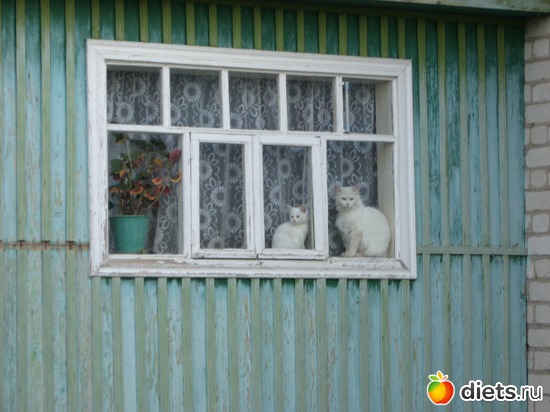 21 фото: Мир, каким я его вижу