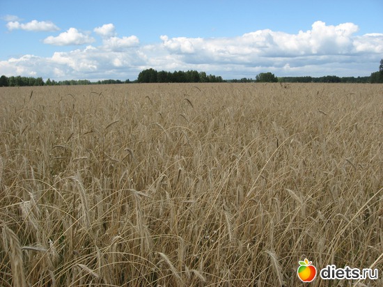 22 фото: Мир, каким я его вижу