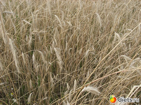 23 фото: Мир, каким я его вижу