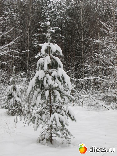 24 фото: Мир, каким я его вижу