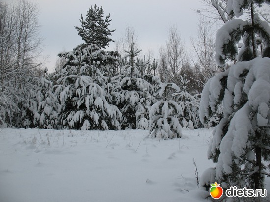 25 фото: Мир, каким я его вижу