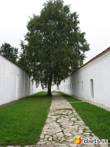 26 фото: Мир, каким я его вижу