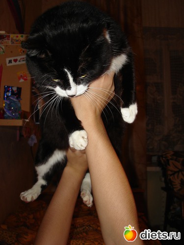 2 фото: Мир, каким я его вижу