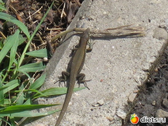 4 фото: Мир, каким я его вижу