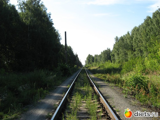 5 фото: Мир, каким я его вижу