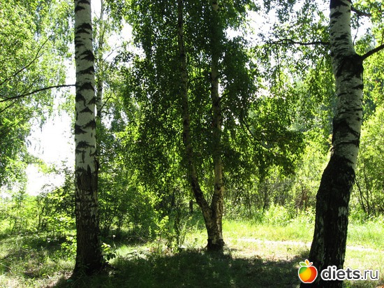 6 фото: Мир, каким я его вижу