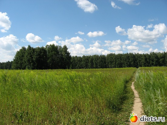 7 фото: Мир, каким я его вижу