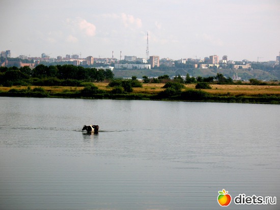 9 фото: Мир, каким я его вижу