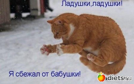 ���������� ��������