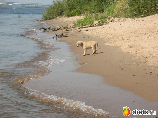 11 фото: Мир, каким я его вижу