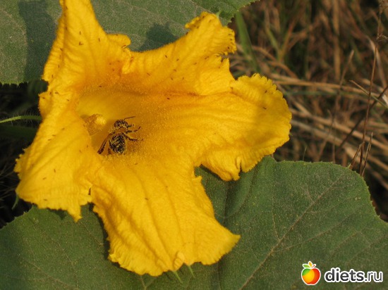 12 фото: Мир, каким я его вижу