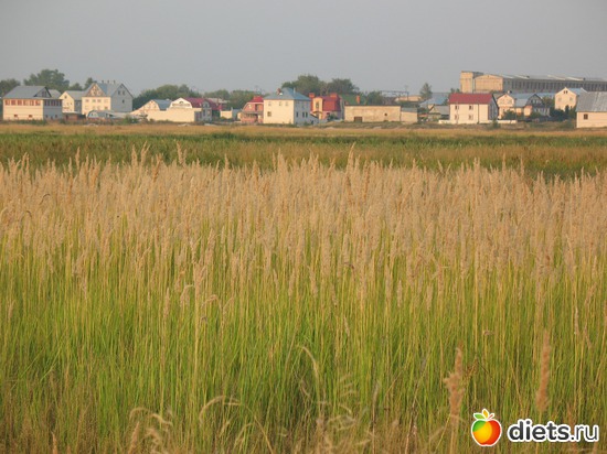 13 фото: Мир, каким я его вижу