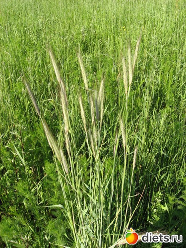 17 фото: Мир, каким я его вижу