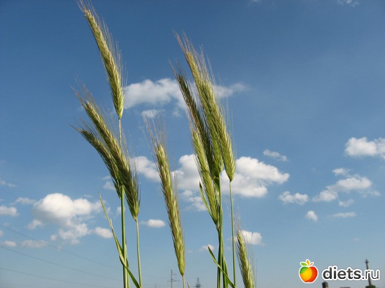 18 ����: ���, ����� � ��� ����