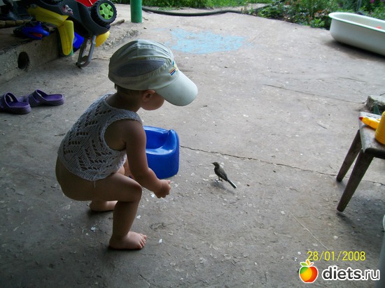 4 фото: Лето на даче