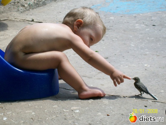 5 фото: Лето на даче