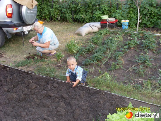 10 фото: Лето на даче