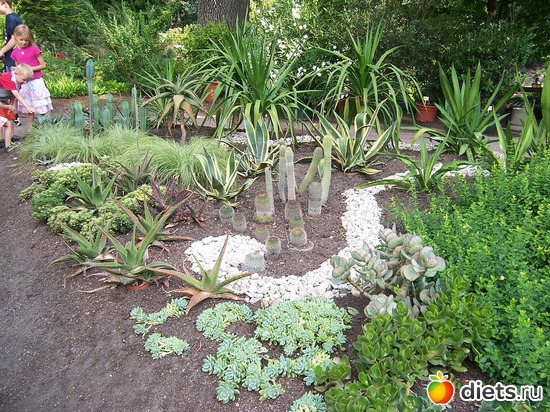 В Ботаническом саду, альбом: Тарту, лето 2010