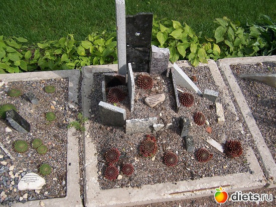 6 фото: Тарту, лето 2010