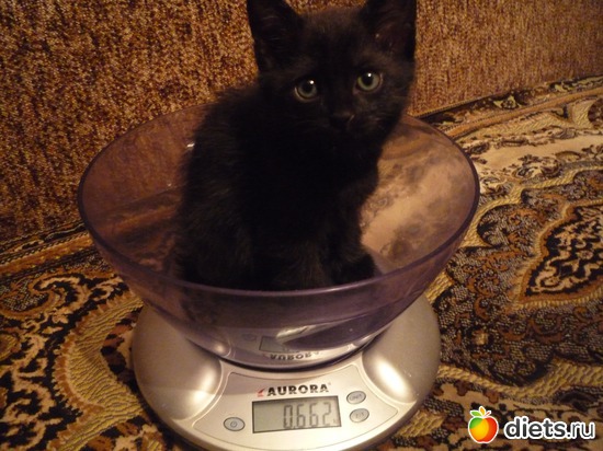 мой вес, альбом: мой джой