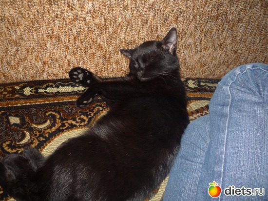 10 фото: мой джой