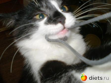 Знакомьтесь.