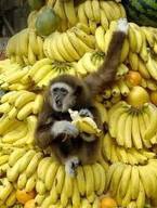 3-�� ���� � ����������� ��������� �����!