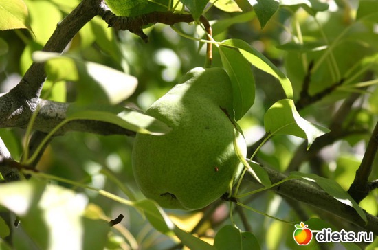 66 фото: Мир, каким я его вижу