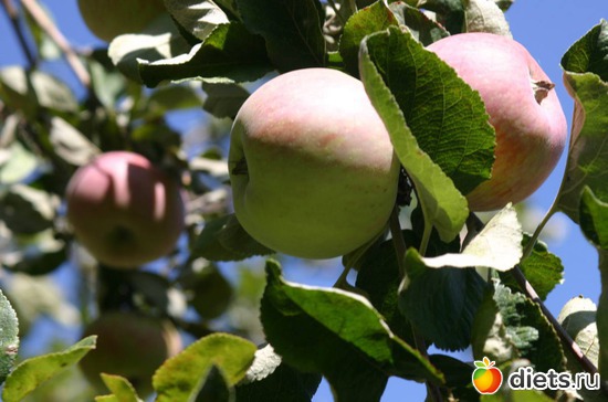 67 фото: Мир, каким я его вижу