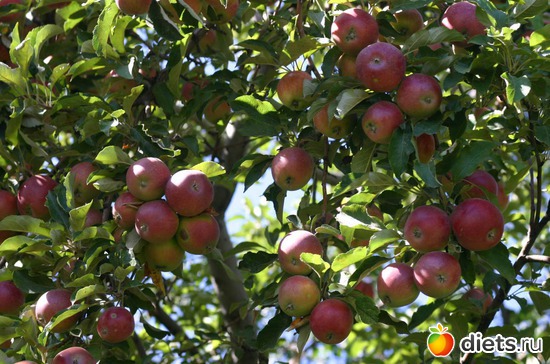 68 фото: Мир, каким я его вижу