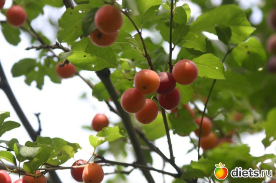 69 фото: Мир, каким я его вижу