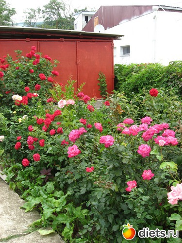 70 фото: Мир, каким я его вижу