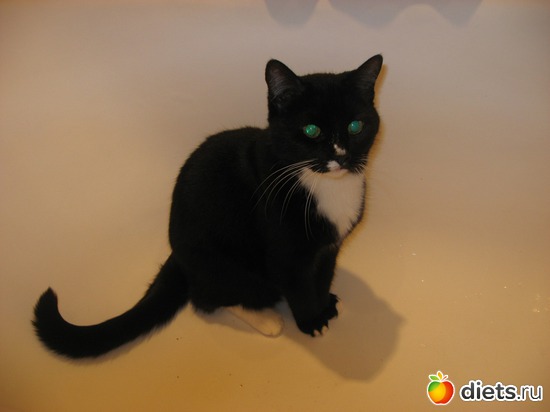 71 фото: Мир, каким я его вижу