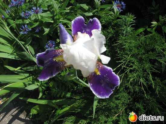 72 фото: Мир, каким я его вижу