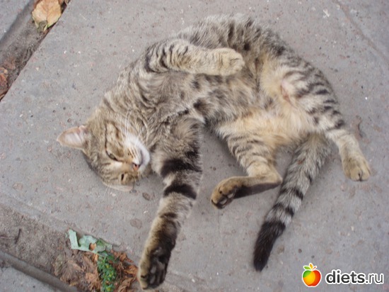 74 фото: Мир, каким я его вижу