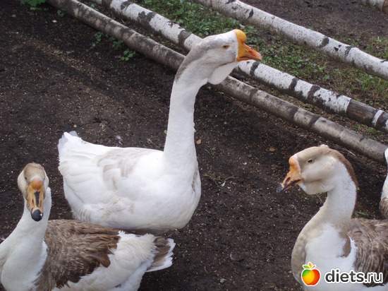 75 фото: Мир, каким я его вижу