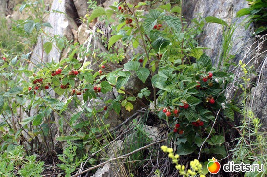 31 фото: Мир, каким я его вижу