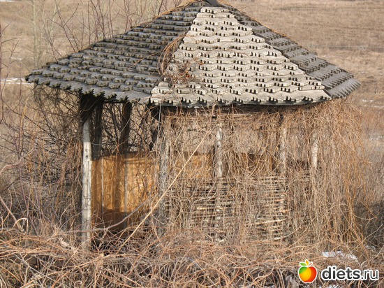 32 фото: Мир, каким я его вижу